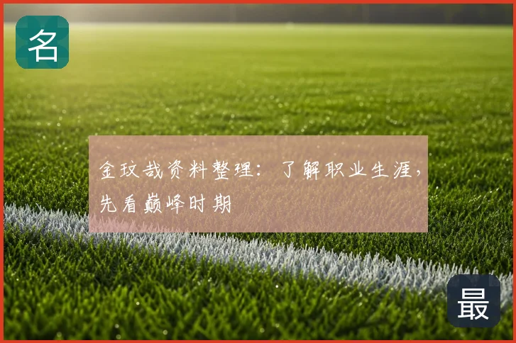 金玟哉资料整理：了解职业生涯，先看巅峰时期